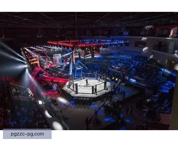 综合格斗赛事分析与预测报告