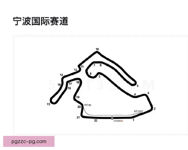 Formula 1赛车入门指南：技巧、策略与赛道解读