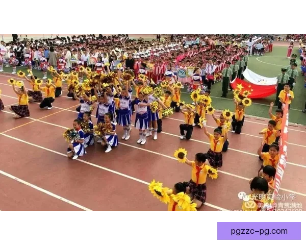 全国体操比赛：精彩表演赢得瞩目，新生力量崭露头角