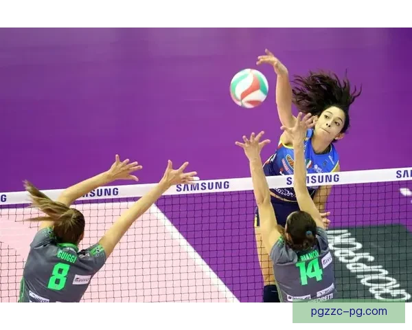 全球顶尖排球杯赛：挑战巅峰、争夺荣耀