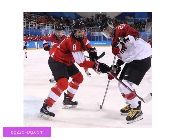 冰球大奖赛：全方位解读赛事规则、球员风采和胜负关键
