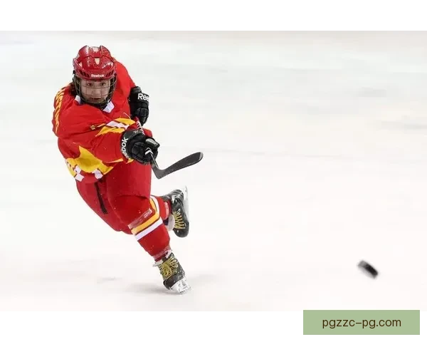 冰球锦标赛：冰上狂潮，梦想闪耀