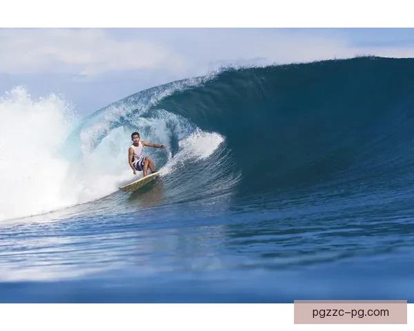 冲浪冠军：波浪间的征服者