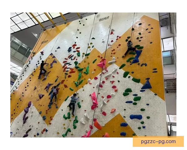 攀岩初学者必读:入门攀岩教程及技巧指南 攀岩初学者必读:入门攀岩教程及技巧指南