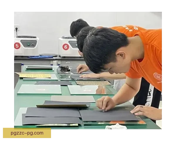 次席成就与技能：展望未来的发展路径