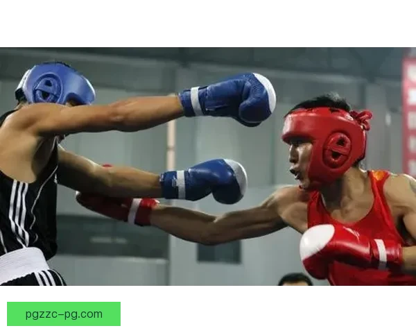 搏击之城：拳击风暴席卷，挑战擂台，冠军登顶