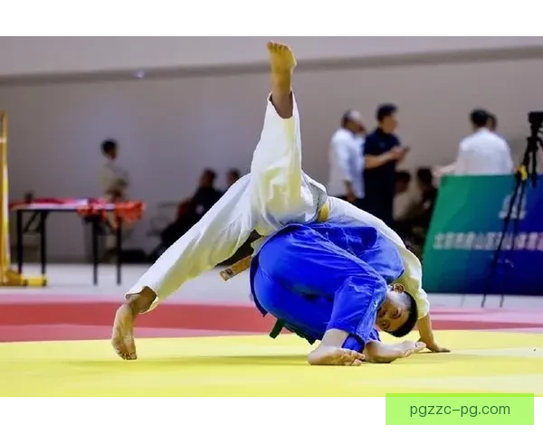 柔道竞技规则与技术要点详解