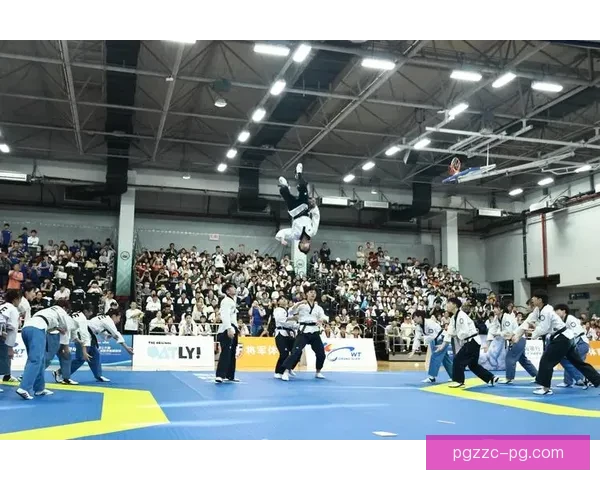 精彩瞬间回放:跆拳道赛事精彩集锦 精彩瞬间回放:跆拳道赛事精彩集锦