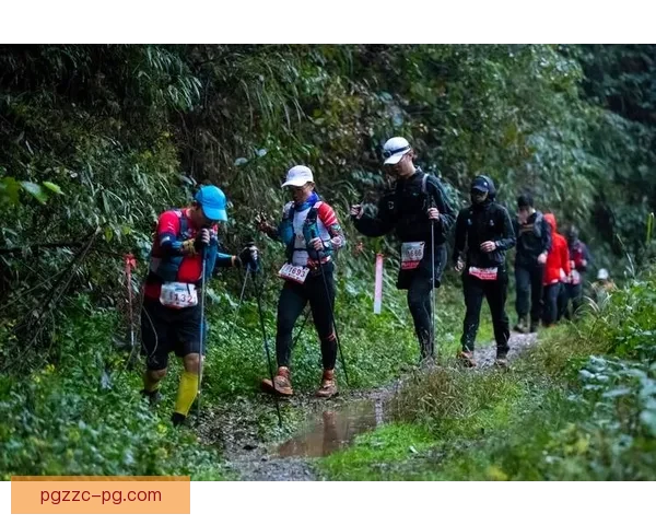 越野跑盘口分析：技巧、策略与风险控制