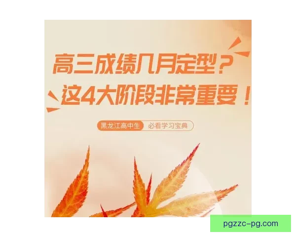 马拉松对战分析：挑战与策略解读